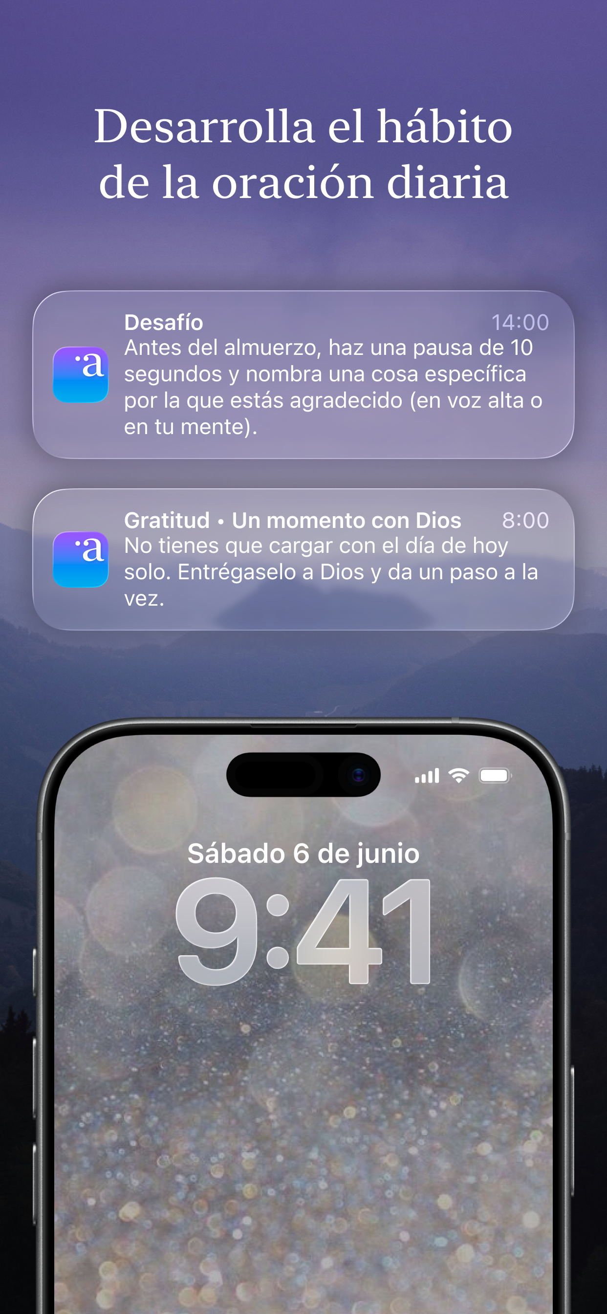 Vista 5
